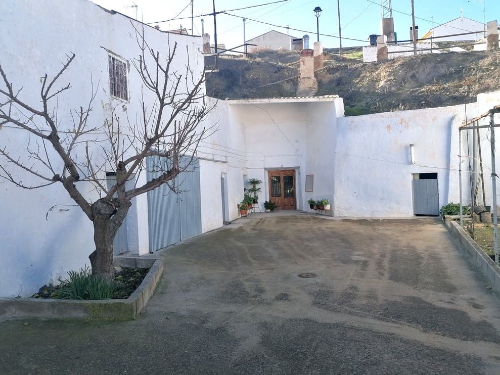 4 bedroom Cave House for sale in Cuevas del Campo - € 56,000 (Ref: 9475577)