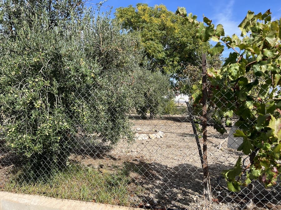 Finca/Country House for sale in Cortes de Baza - € 98,000 (Ref: 9496576)