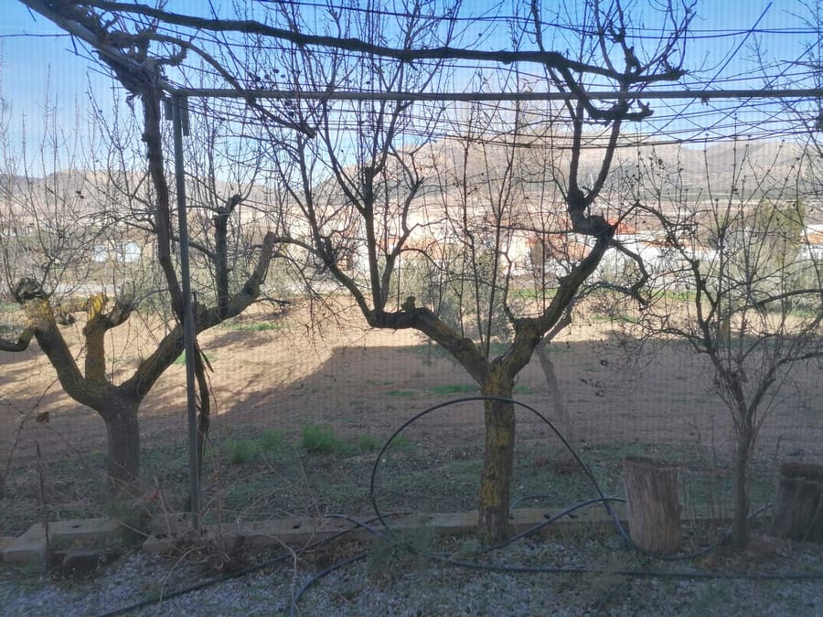 8 soverom Finca/Herregård til salgs i Chirivel med svømmebasseng - € 299 999 (Ref: 9506428)