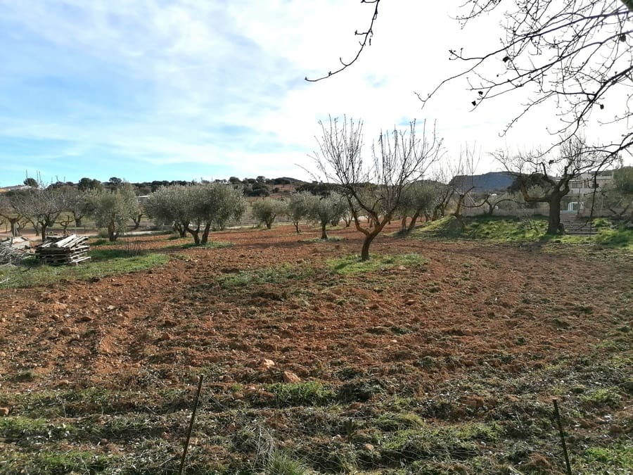 8 soverom Finca/Herregård til salgs i Chirivel med svømmebasseng - € 299 999 (Ref: 9506428)