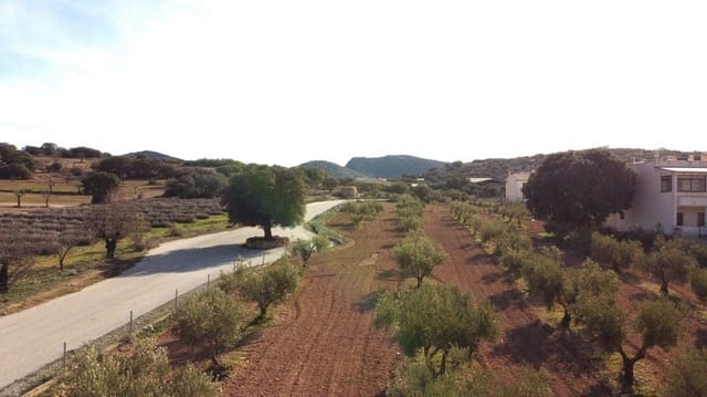 8 camera da letto Finca/Casa di Campagna in vendita in Chirivel - 299.999 € (Rif: 9506428)