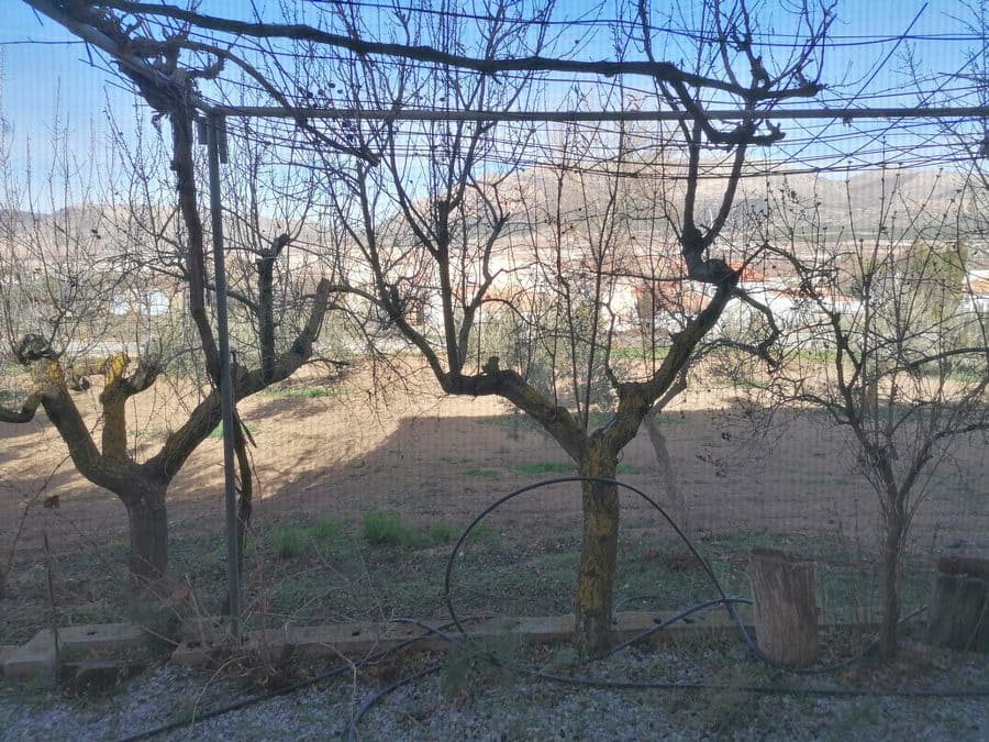 8 bedroom Finca/Country House for sale in Chirivel - € 299,999 (Ref: 9506428)