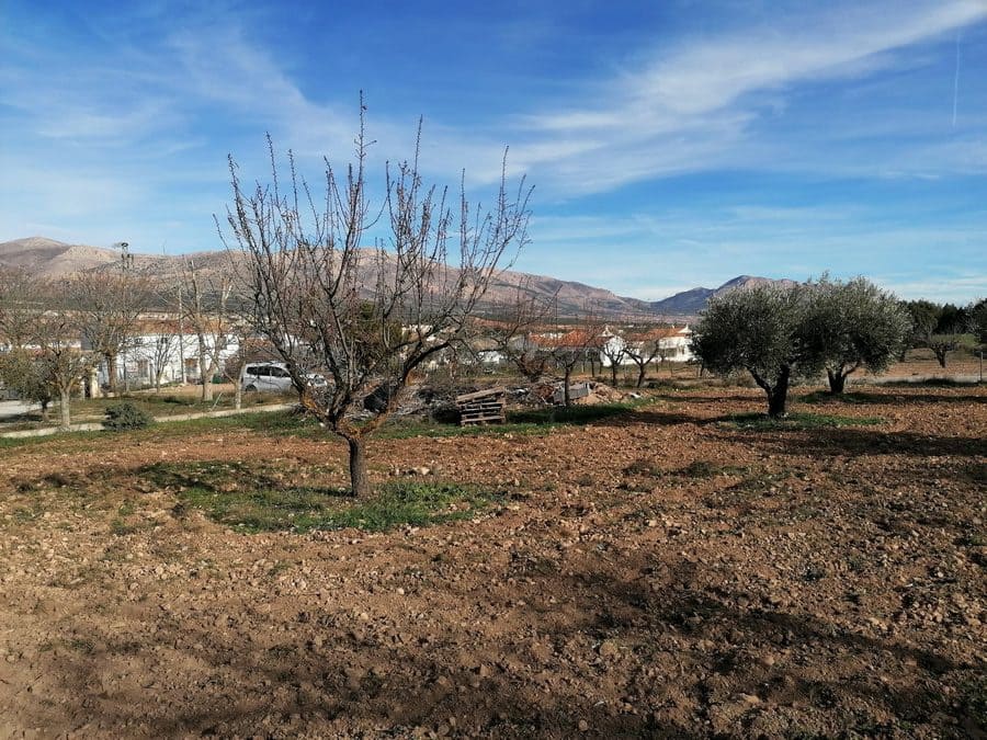 8 bedroom Finca/Country House for sale in Chirivel - € 299,999 (Ref: 9506428)
