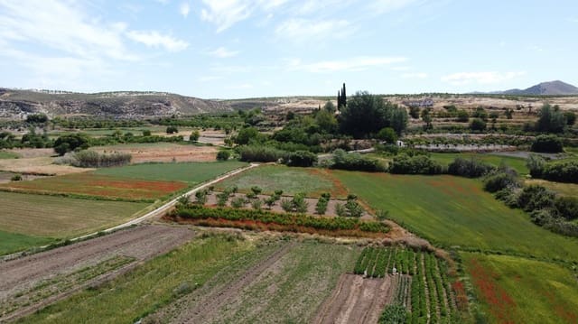 6 slaapkamer Finca/Landhuis te koop in Galera - € 110.000 (Ref: 9516479)