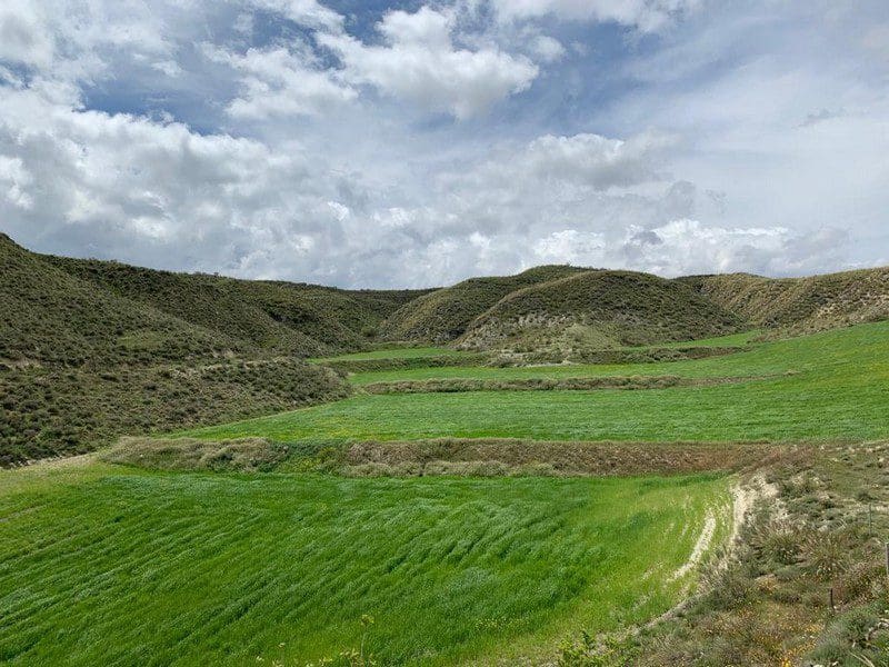 3 makuuhuone Maalaistalo myytävänä paikassa Caniles - 178 500 € (Ref: 9789631)