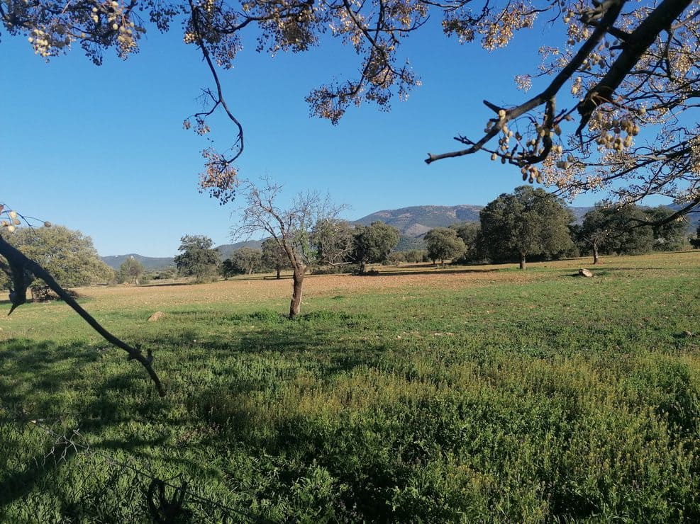 5 camera da letto Finca/Casa di Campagna in vendita in Baul - 159.000 € (Rif: 9789632)