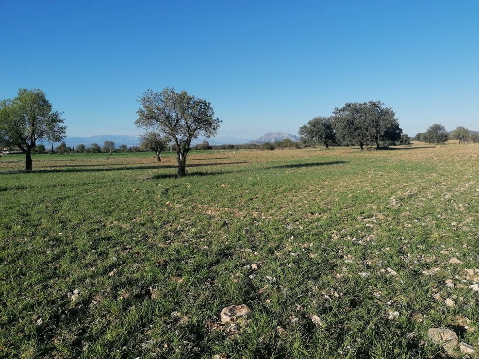 5 slaapkamer Finca/Landhuis te koop in Baul met garage - € 150.000 (Ref: 9789632)