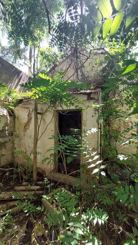 Erhverv til salg i Baza - € 69.000 (Ref: 9789633)