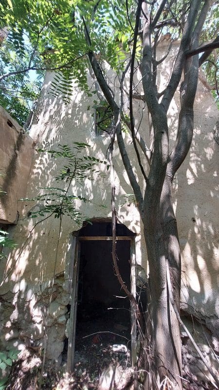 Erhverv til salg i Baza - € 69.000 (Ref: 9789633)