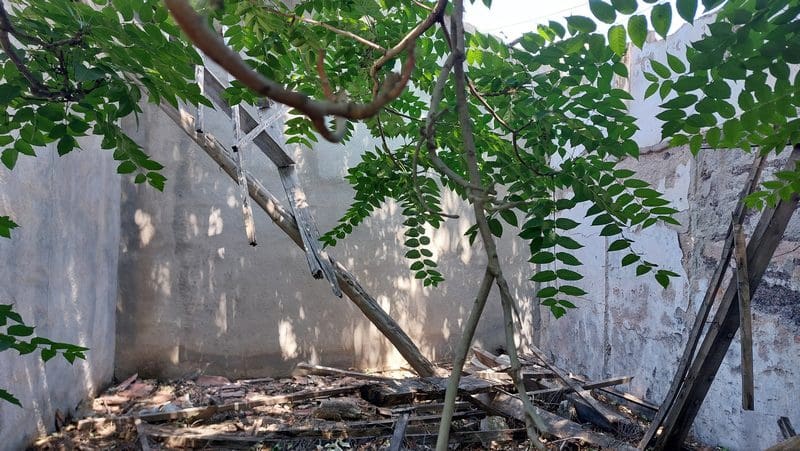 Erhverv til salg i Baza - € 69.000 (Ref: 9789633)