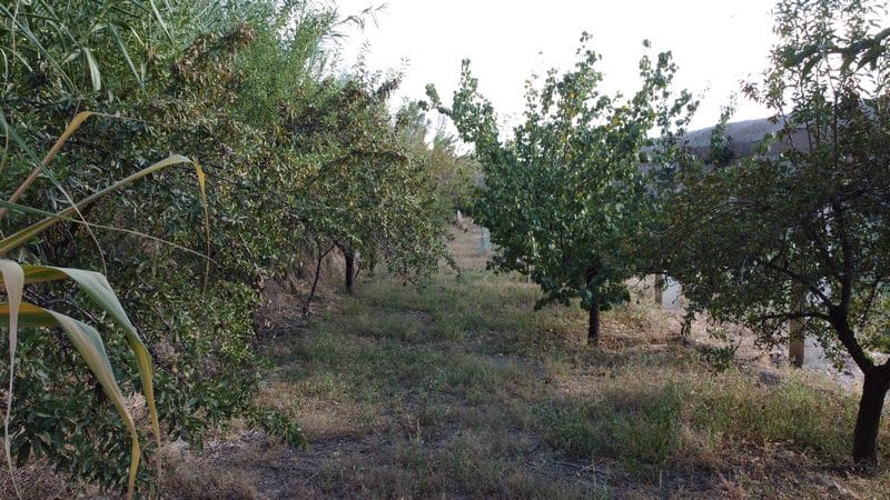 4 chambre Maison Troglodyte à vendre à Caniles - 244 000 € (Ref: 9789634)