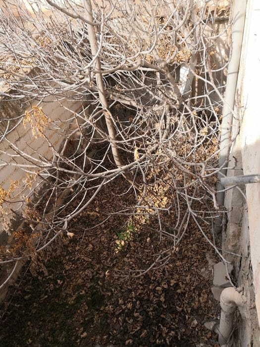 4 makuuhuone Maalaistalo myytävänä paikassa Benamaurel - 38 000 € (Ref: 9789635)