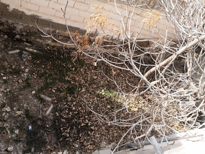 4 makuuhuone Maalaistalo myytävänä paikassa Benamaurel - 38 000 € (Ref: 9789635)