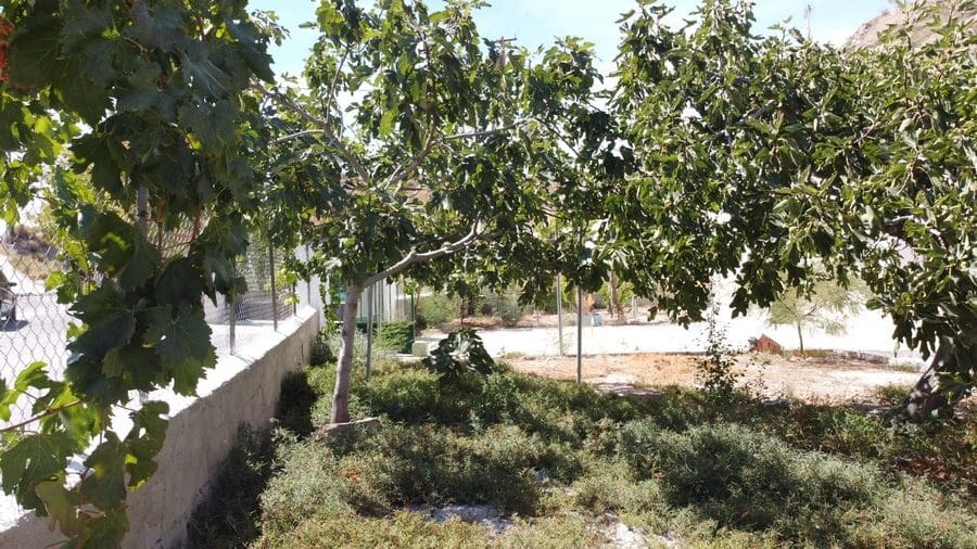 4 makuuhuone Luolatalo myytävänä paikassa Benamaurel - 70 000 € (Ref: 9789642)