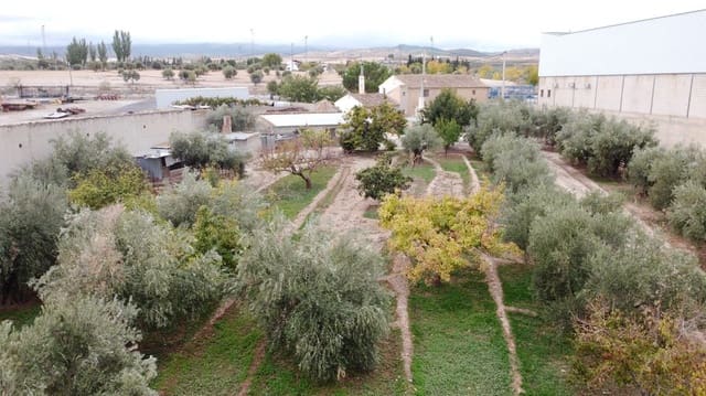 5 camera da letto Finca/Casa di Campagna in vendita in Baza - 200.000 € (Rif: 9789643)