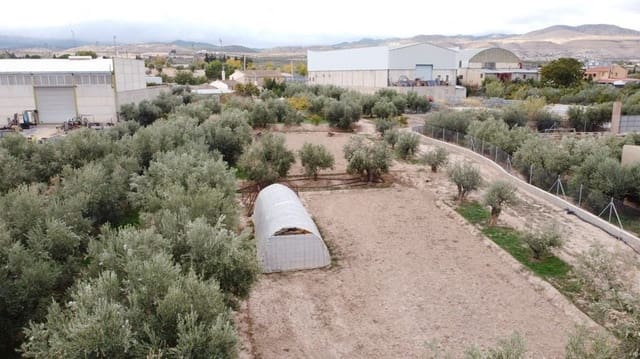 5 camera da letto Finca/Casa di Campagna in vendita in Baza - 200.000 € (Rif: 9789643)