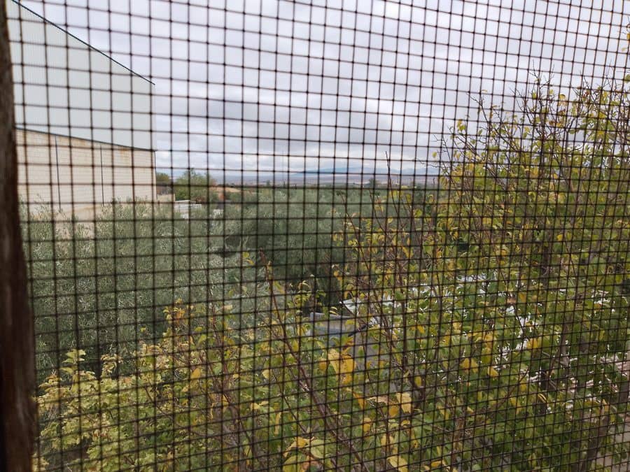 5 camera da letto Finca/Casa di Campagna in vendita in Baza - 200.000 € (Rif: 9789643)