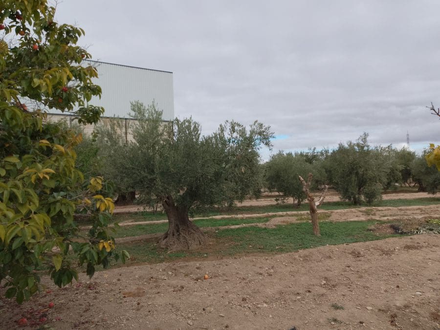 5 camera da letto Finca/Casa di Campagna in vendita in Baza - 200.000 € (Rif: 9789643)