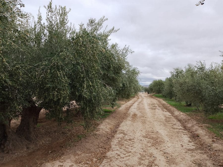 5 camera da letto Finca/Casa di Campagna in vendita in Baza - 200.000 € (Rif: 9789643)
