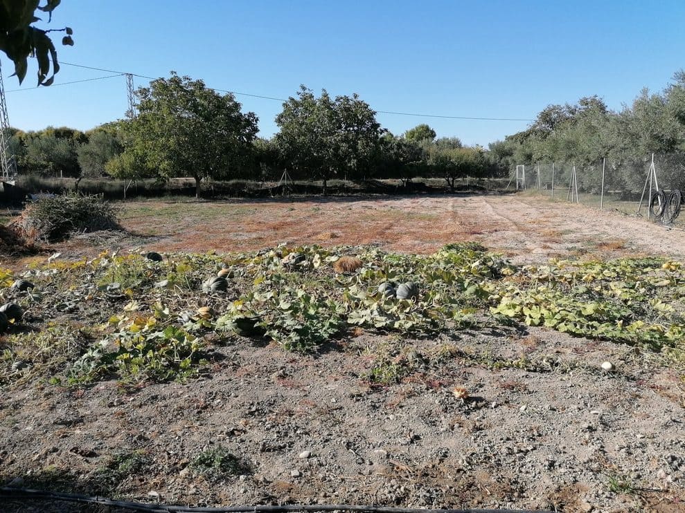 1 camera da letto Finca/Casa di Campagna in vendita in Baza - 169.800 € (Rif: 9789645)