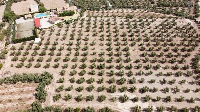 9 camera da letto Finca/Casa di Campagna in vendita in Baza - 477.000 € (Rif: 9789647)