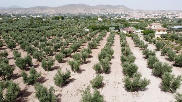 9 camera da letto Finca/Casa di Campagna in vendita in Baza - 477.000 € (Rif: 9789647)