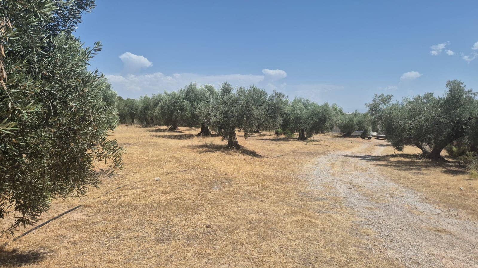 2 quarto Quinta/Casa Rural para venda em Pozo Alcon - 140 000 € (Ref: 9803750)