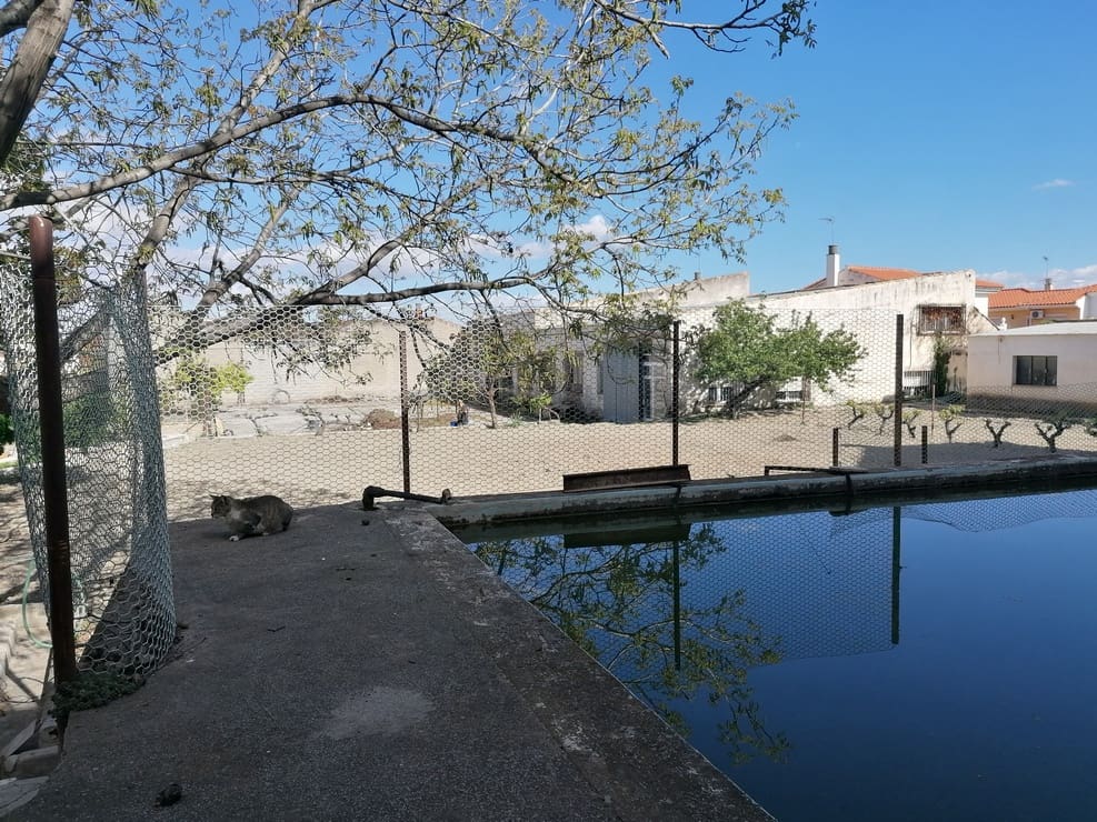 5 Zimmer Haus zu verkaufen in Baza mit Pool - 360.000 € (Ref: 9810886)