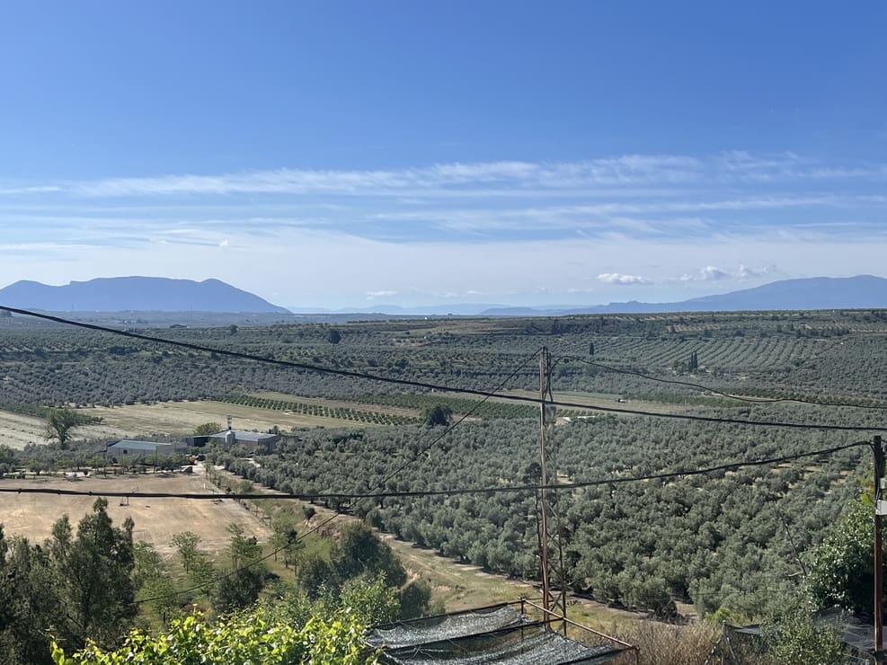 3 bedroom Cave House for sale in Fontanar with pool - € 148,000 (Ref: 9838255)