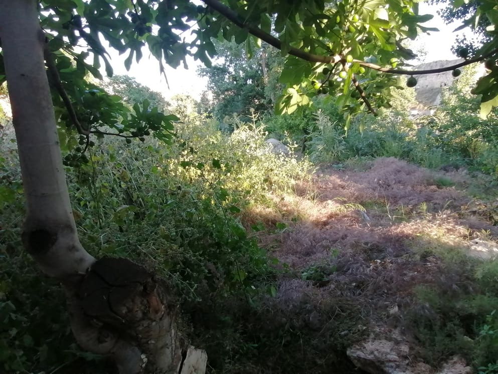 3 camera da letto Finca/Casa di Campagna in vendita in Zujar con piscina - 25.000 € (Rif: 9893071)