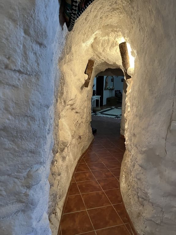 6 bedroom Commercial for sale in La Alqueria - € 205,000 (Ref: 9908780)