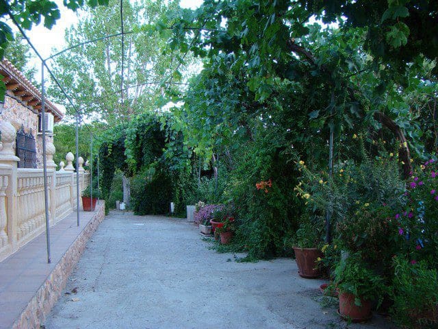 6 bedroom Finca/Country House for sale in Gor with pool - € 425,000 (Ref: 9911532)