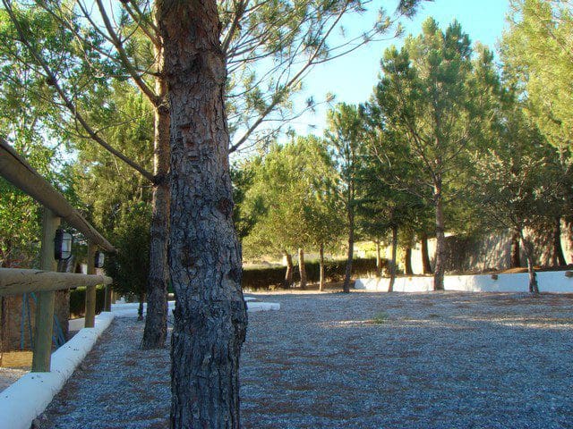 6 bedroom Finca/Country House for sale in Gor with pool - € 425,000 (Ref: 9911532)