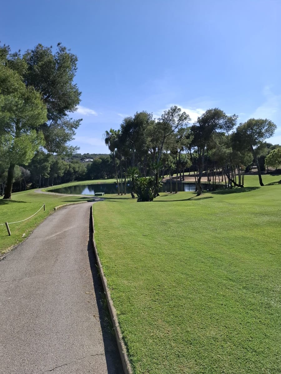 3 bedroom Penthouse for sale in Las Ramblas Golf with pool garage - € 349,000 (Ref: 9838422)