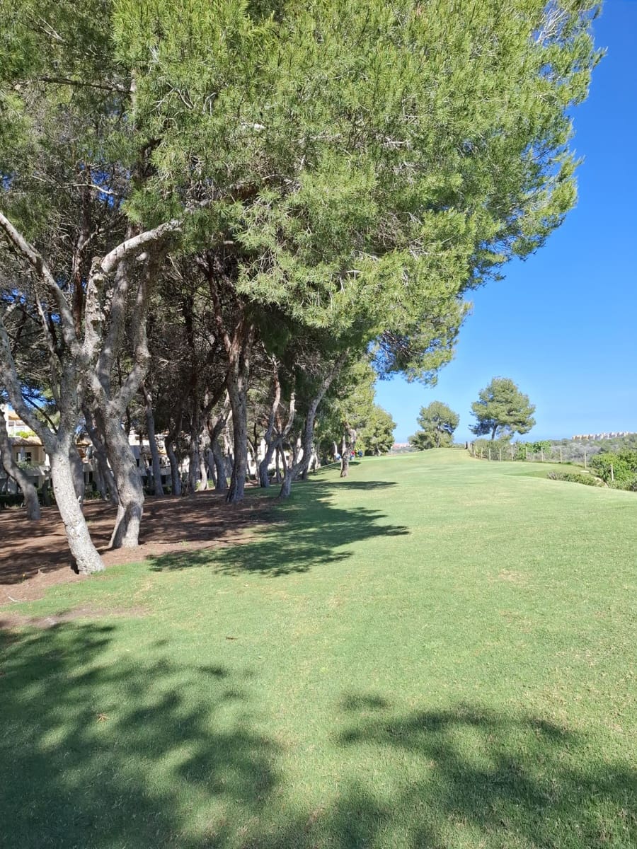 3 bedroom Penthouse for sale in Las Ramblas Golf with pool garage - € 349,000 (Ref: 9838422)