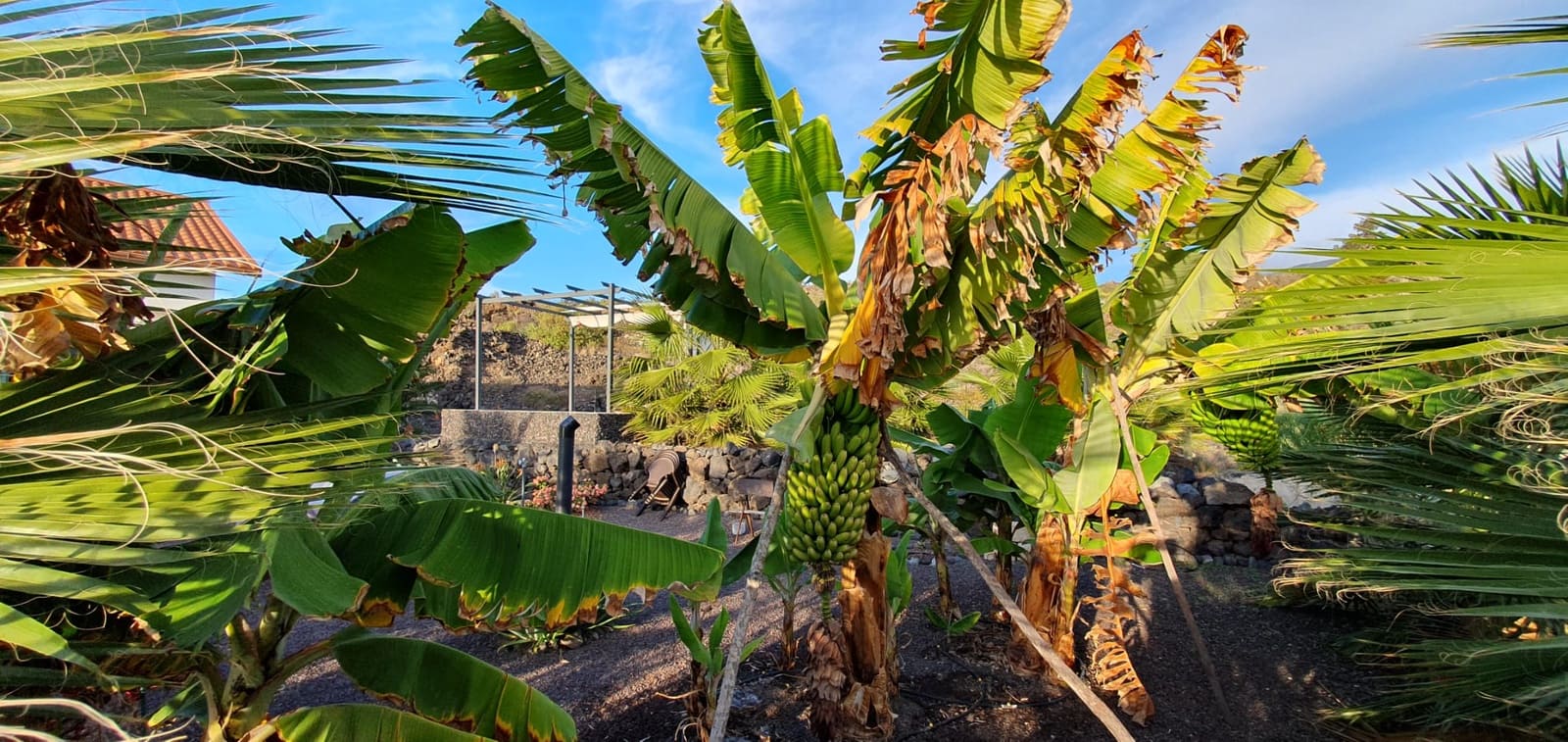 2 soverom Finca/Herregård til salgs i Guia de Isora med garasje - € 650 000 (Ref: 8953551)