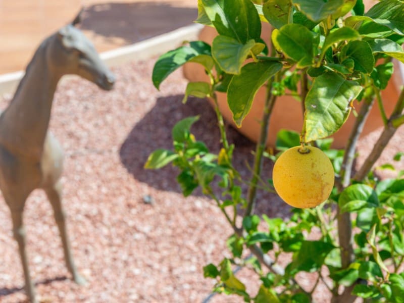 5 chambre Villa/Maison à vendre à Busot avec piscine garage - 1 100 000 € (Ref: 8433884)