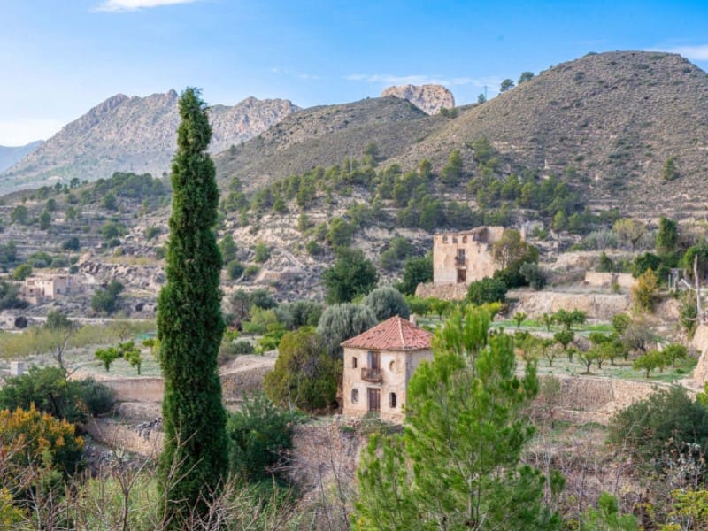 5 sypialnia Finka/Dom wiejski na sprzedaż w Relleu z basenem garażem - 975 000 € (Ref: 8561014)