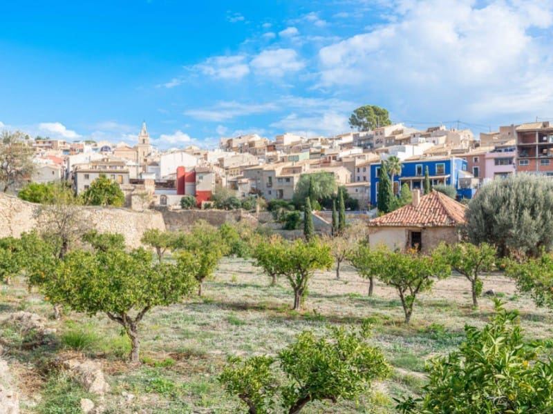 5 sypialnia Finka/Dom wiejski na sprzedaż w Relleu z basenem garażem - 975 000 € (Ref: 8561014)