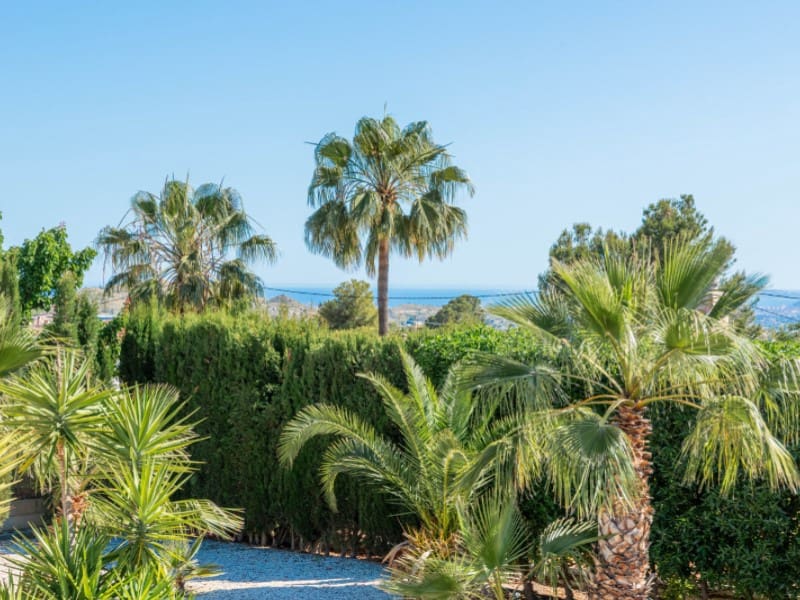 4 soveværelse Villa til salg i Busot med swimmingpool garage - € 689.000 (Ref: 9051456)