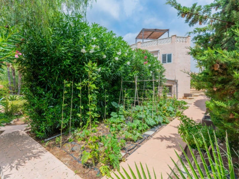 11 chambre Villa/Maison à vendre à San Vicente / Sant Vicent del Raspeig - 1 500 000 € (Ref: 9169841)