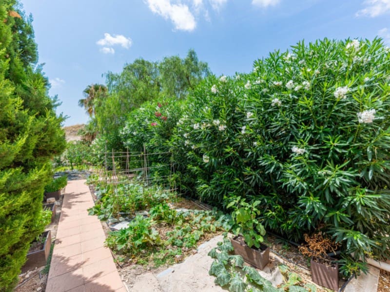 11 chambre Villa/Maison à vendre à San Vicente / Sant Vicent del Raspeig - 1 500 000 € (Ref: 9169841)