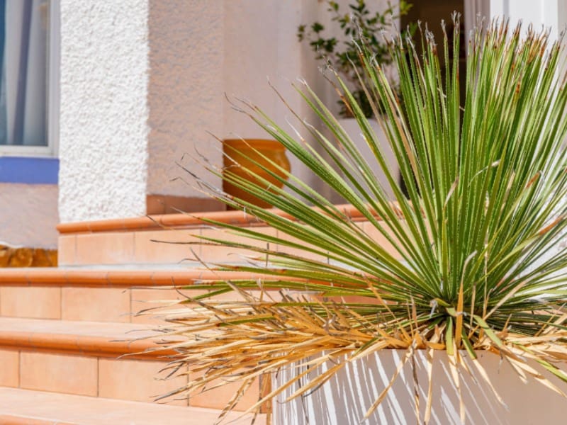 4 chambre Villa/Maison à vendre à El Campello avec garage - 559 000 € (Ref: 9183922)