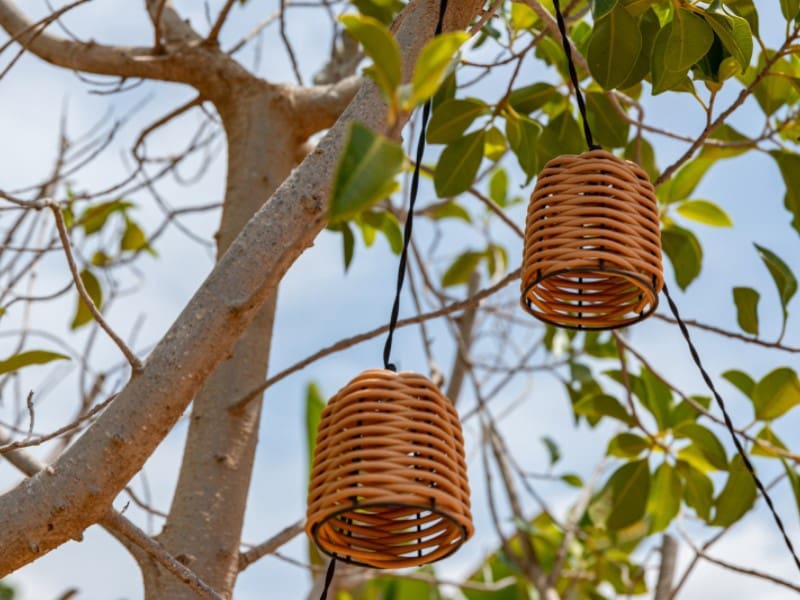 11 soveværelse Hotel til salg i San Vicente / Sant Vicent del Raspeig - € 1.500.000 (Ref: 9204839)