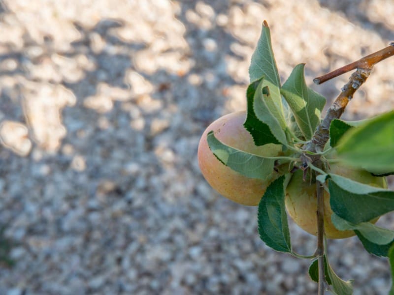 4 soverom Villa til salgs i Busot med svømmebasseng garasje - € 520 000 (Ref: 9282441)