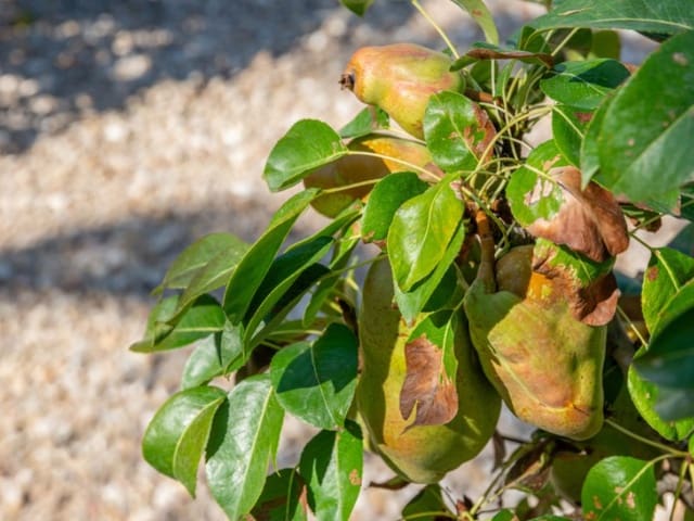 4 soverom Villa til salgs i Busot med svømmebasseng garasje - € 520 000 (Ref: 9282441)