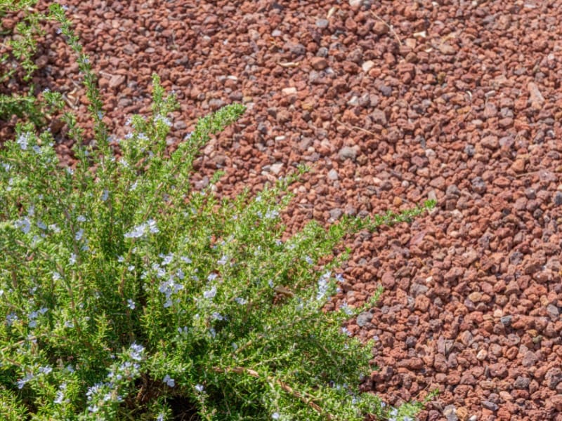 4 chambre Villa/Maison à vendre à Altea la Vella avec piscine - 995 000 € (Ref: 9308564)