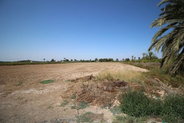 Building Plot for sale in Elche / Elx - € 98,000 (Ref: 5508205)