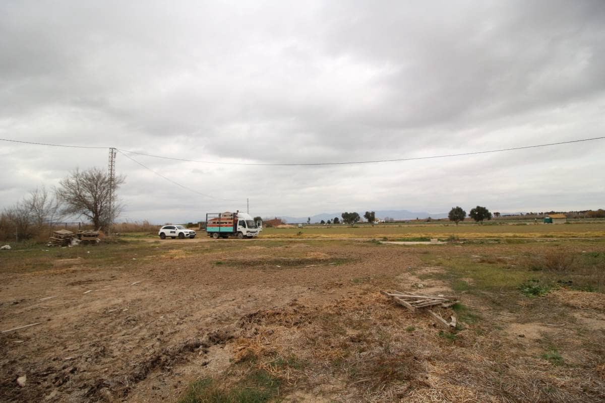 7 sypialnia Finka/Dom wiejski na sprzedaż w Dolores - 300 000 € (Ref: 7431981)