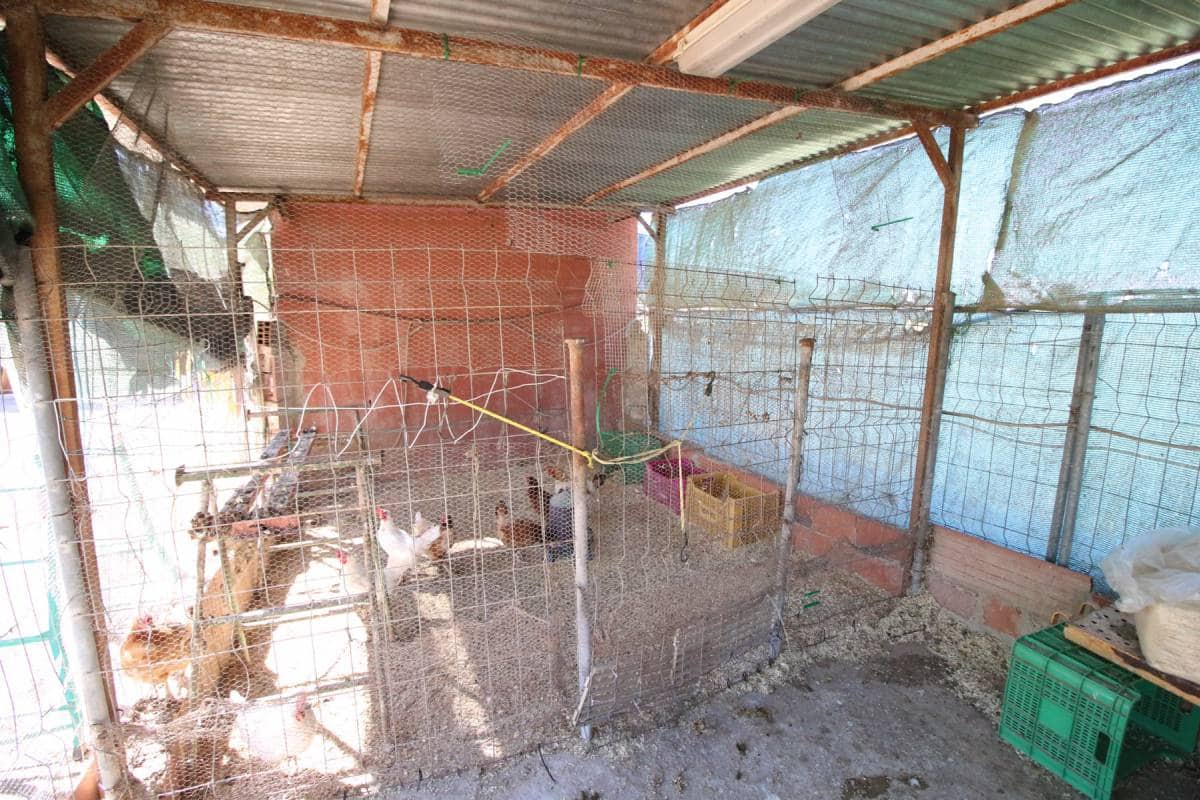 4 soveværelse Finca/Landehus til salg i Dolores med swimmingpool garage - € 525.000 (Ref: 8245172)